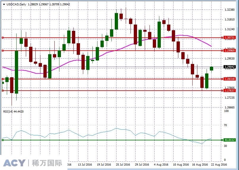 USDCADDaily2.jpg